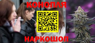 индика Заволжье