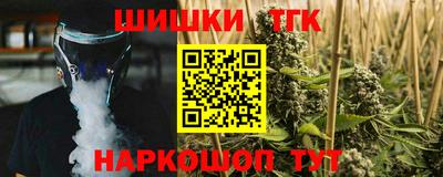 индика Заволжье