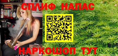 индика Заволжье