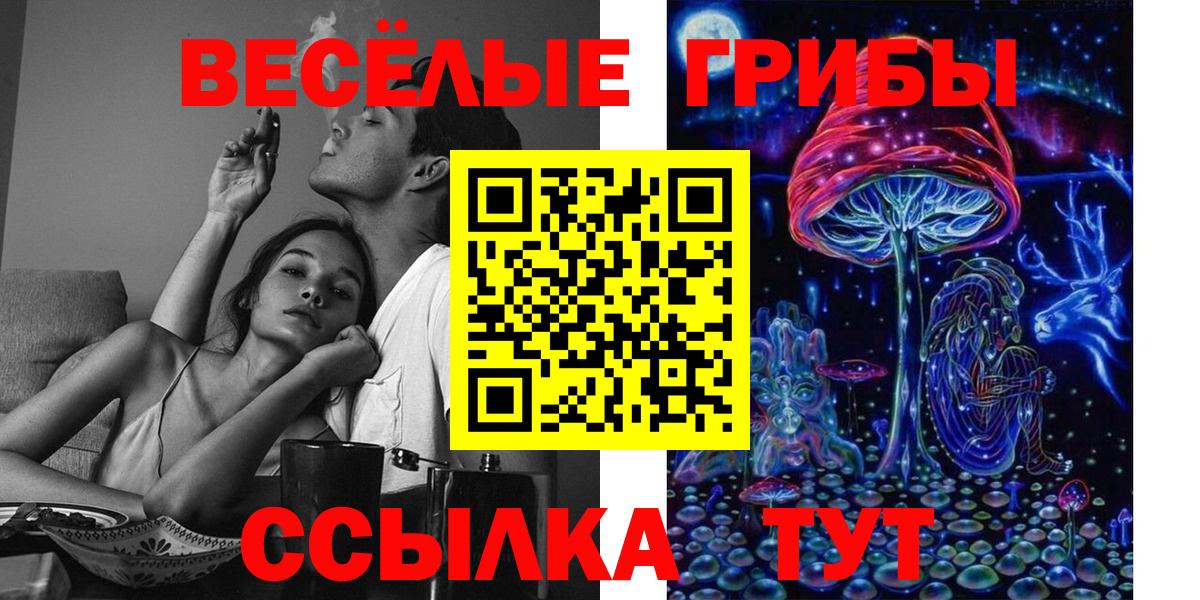 Галлюциногенные грибы прущие грибы  Вход с VPN  Псилоцибиновые грибы GOLDEN TEACHER  Дагестанские Огни 